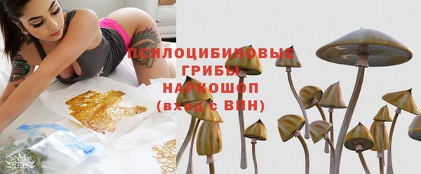 МДПВ Алзамай