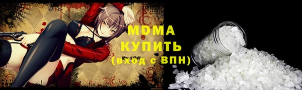 гашик Алексин