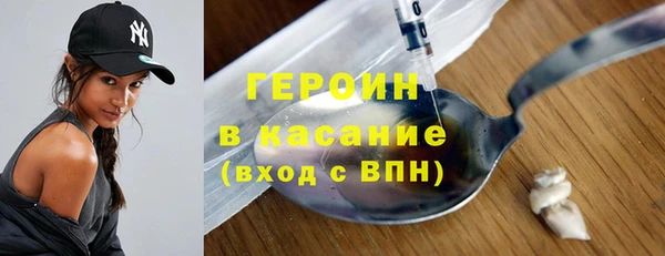 гашик Алексин