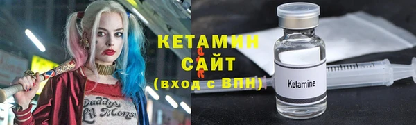 гашик Алексин