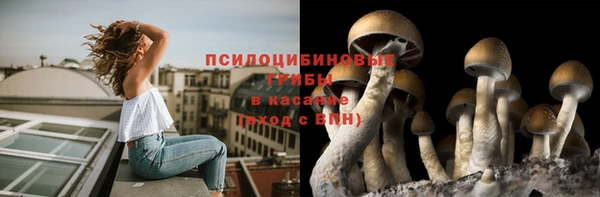 МДПВ Алзамай