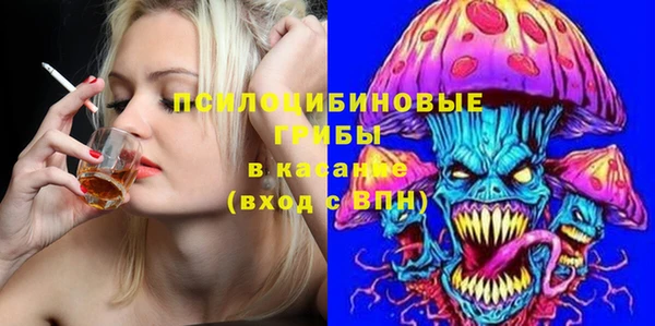гашик Алексин