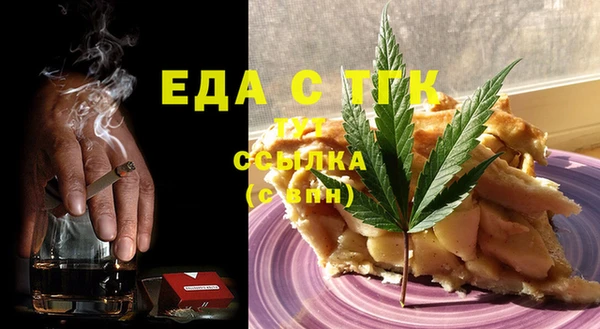 гашик Алексин