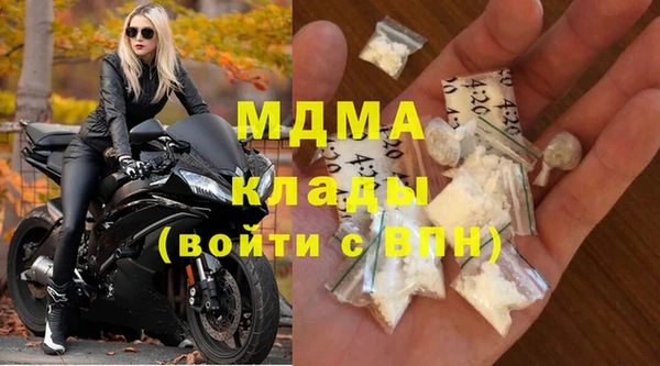 гашик Алексин
